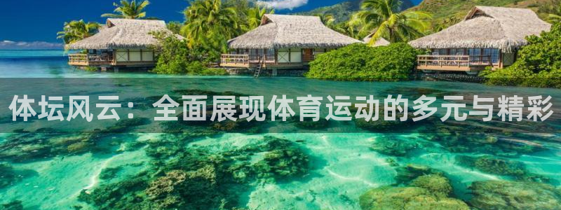火爆体育在线直播
