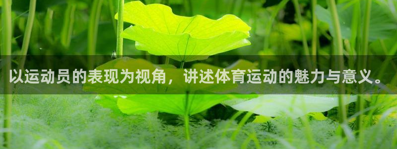 火爆体育：以运动员的表现为视角，讲述体育运动的魅力与意义。