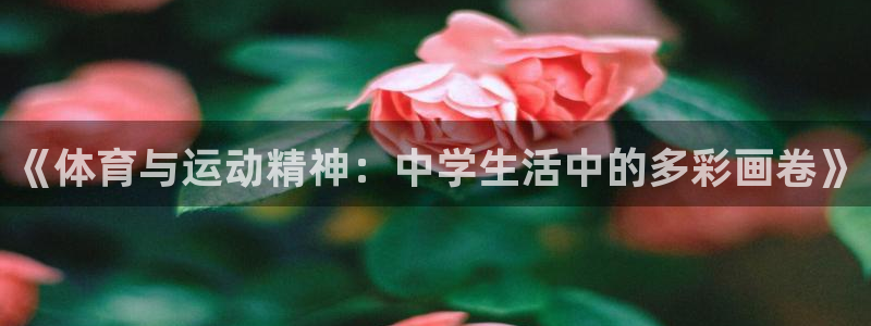 关键词：《体育与运动精神：中学生活中的多彩画卷》