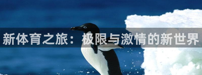 火爆体育APP下载