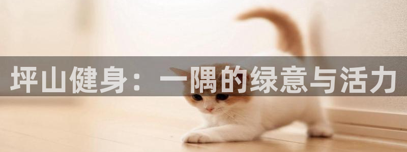 火爆体育app下载入口
