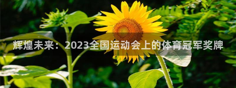 火爆体育赛事