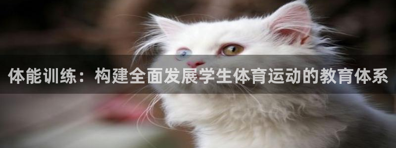火爆体育在线直播